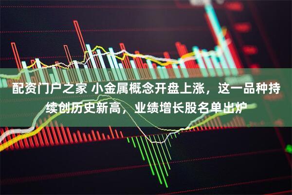 配资门户之家 小金属概念开盘上涨，这一品种持续创历史新高，业绩增长股名单出炉