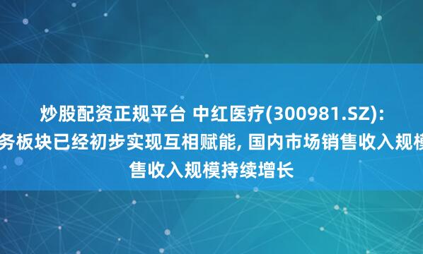 炒股配资正规平台 中红医疗(300981.SZ): 目前各业务板块已经初步实现互相赋能, 国内市场销售收入规模持续增长
